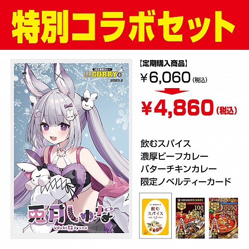 カレー様 リクエスト 2点 まとめ商品 カレー様 リクエスト 2点 まとめ商品 チキンカレー様 リクエスト