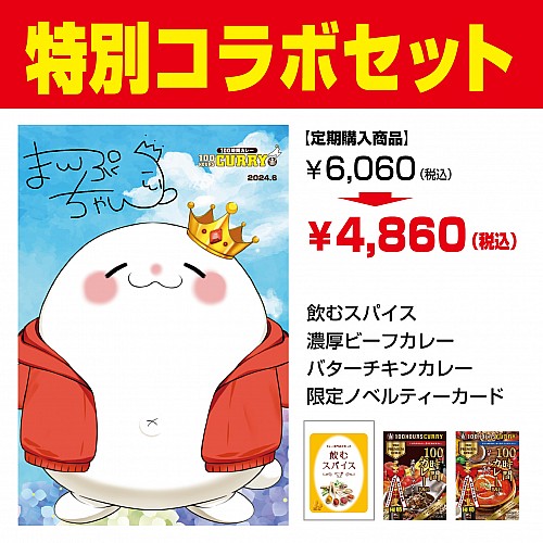 レトルトカレー・スパイスカレーの通販・お取り寄せなら100時間カレー