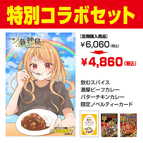 レトルトカレー・スパイスカレーの通販・お取り寄せなら100時間カレー