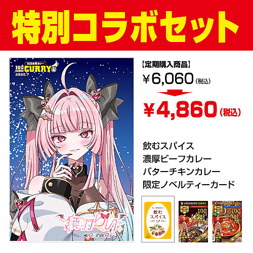 レトルトカレー・スパイスカレーの通販・お取り寄せなら100時間カレー